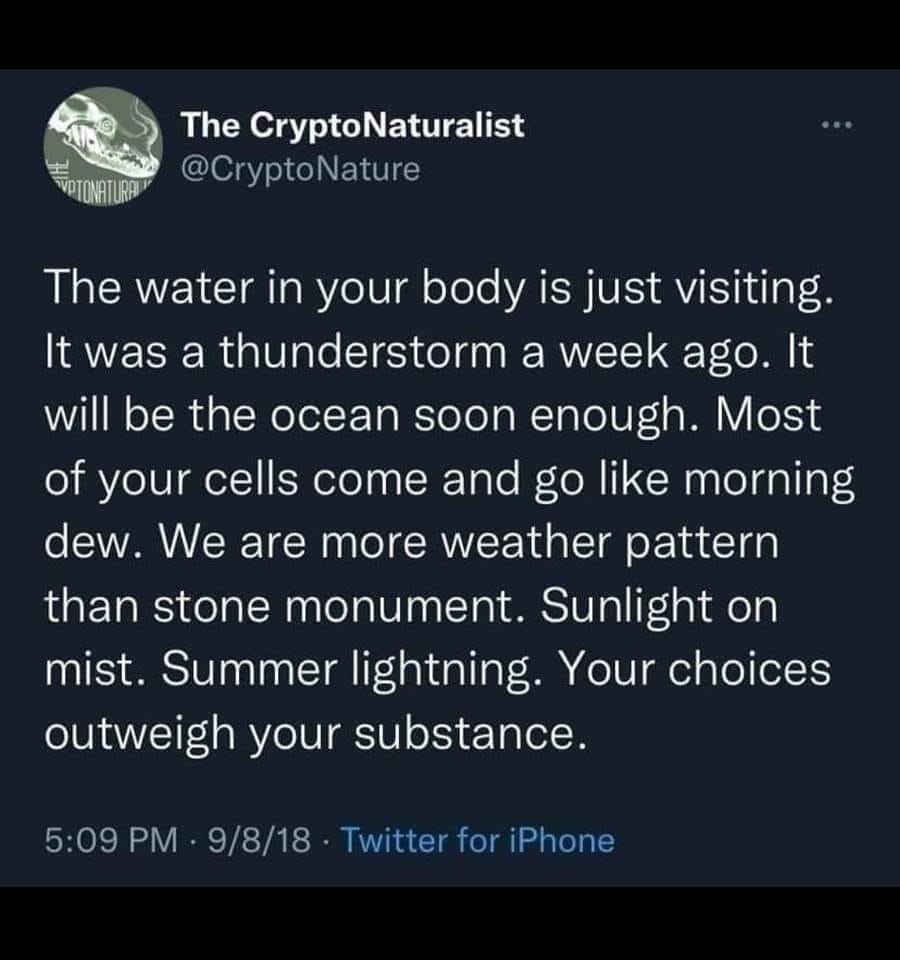 This meme is a humorous take on the common phrase "I can see your forest and your trees" (a phrase that means to see both the big picture and the small details). The meme is a play on this phrase, with a humorous and absurd twist. The text reads: "The water in your body is just visiting. It was a thunderstorm a week ago. It will be the ocean soon enough. Most of your cells are going to be dead in a few days. In the meantime, enjoy the sunlight. It will be dark soon."